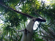 IMG_20220728_162416_HDR