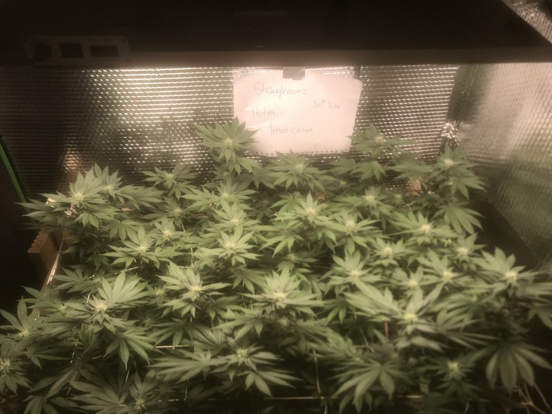 95A66302-B77E-4C09-BBCC-5914B6DC7AA3