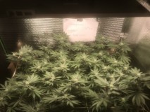 95A66302-B77E-4C09-BBCC-5914B6DC7AA3