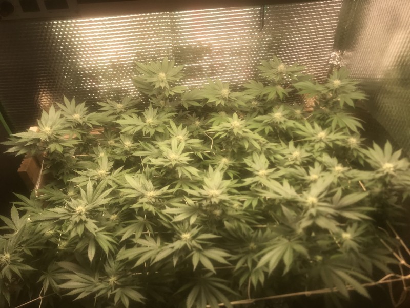 22F3F29A-9961-4997-A637-D5865B7D90AB