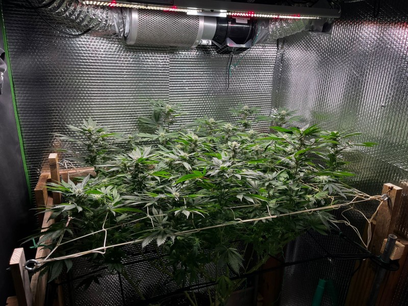 C357B9E7-C4CB-43D9-9D80-FB91FCAFA4C8