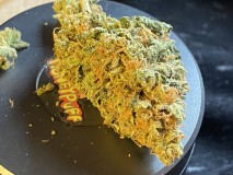 70D6D0B0-1573-4AAD-B7D0-E80E9B64CF64