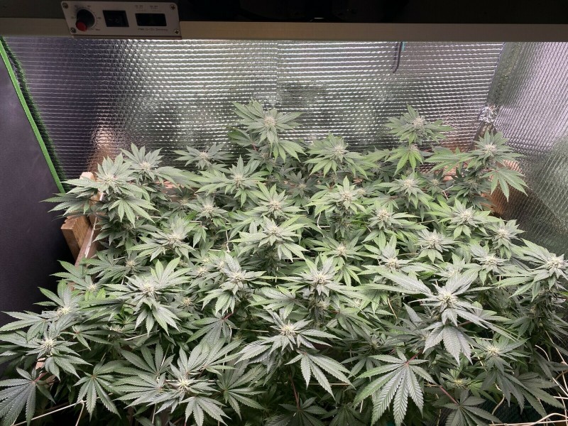 8EC78F52-AC36-4B75-B8D5-7C08510A68DF