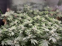 EF9B3FF5-F446-4505-9C48-84CFABB1B080