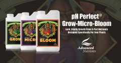 ph-perfect-grow-micro-bloom