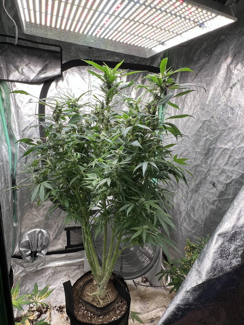 1C31B9EB-954C-4AC1-BDAB-720C944C36E3