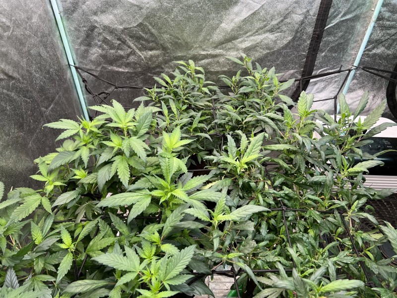 354B2F3D-36E2-43C6-9B3D-A7D96D21FA99