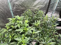 354B2F3D-36E2-43C6-9B3D-A7D96D21FA99