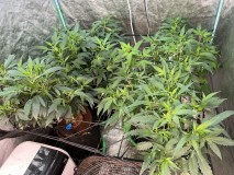 9A1BCFBB-3B4B-4E4B-A2EA-EA9C8309FD2B