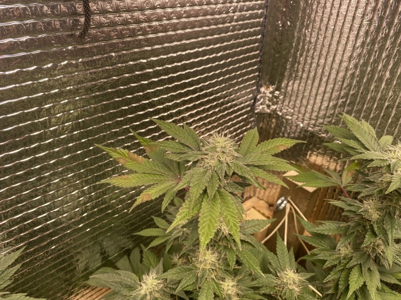 37264FB0-0068-47A1-8165-7BB492BD04AE