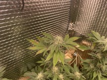 37264FB0-0068-47A1-8165-7BB492BD04AE