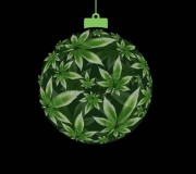 45FAD277-234B-4E47-826C-3A74679D555B