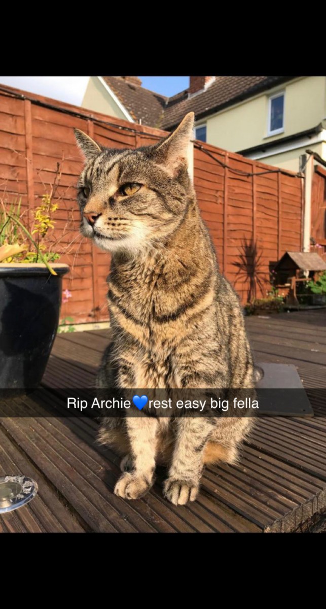 3F717ADC-619D-462B-A3E0-0EA1C126456B