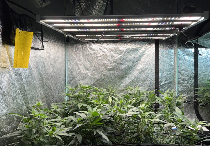 C7AF3483-7E42-4140-B268-FCFE2C76E886