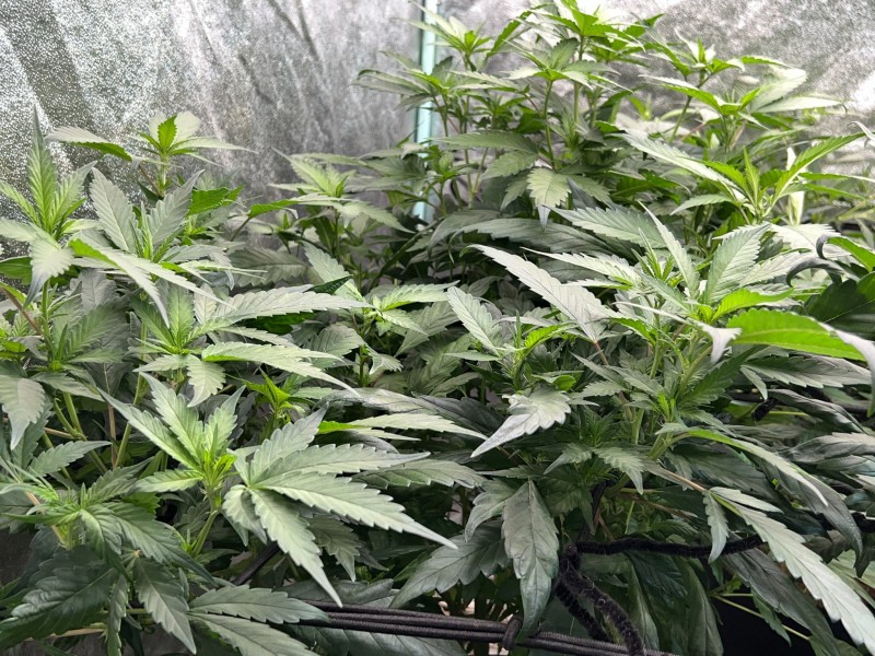 163F299D-5AF0-471D-B25E-A1998D2CFA7F