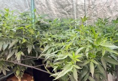 469E1D93-5917-4C2A-AC58-0522BADE0A0A