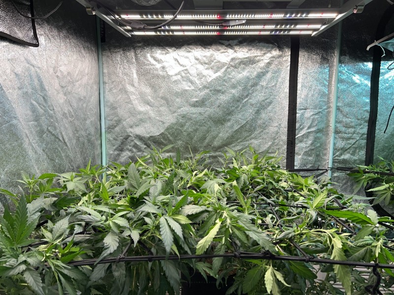 A06757D4-5F5B-4D10-B371-4FA97081E4E4