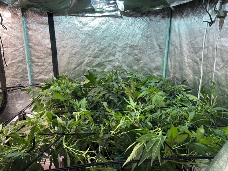 89715FE0-D843-403C-98C4-3AAC9D6603EF