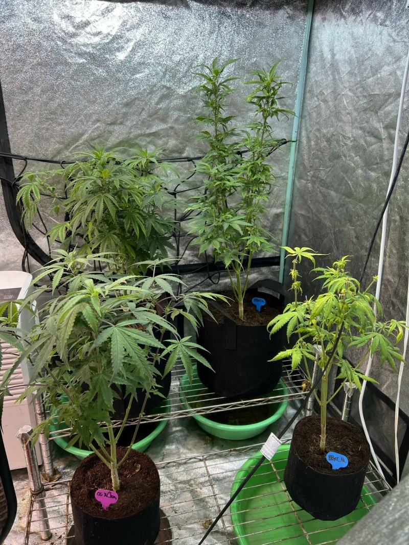 B2B004AA-9785-4000-BDAE-2517A3FAAF4B