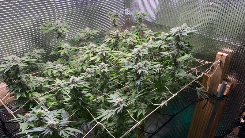 CDE3A914-BB1F-451F-A655-BC595DD9EDEB