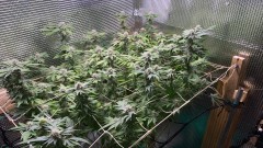 CDE3A914-BB1F-451F-A655-BC595DD9EDEB