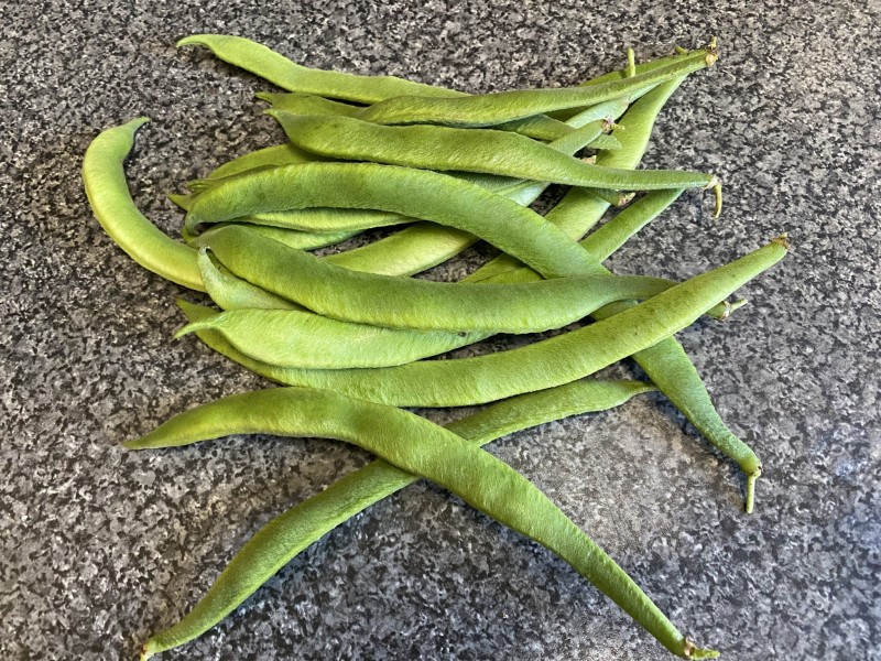 C131CB06-6ABE-4B19-BE47-47028B07A88A