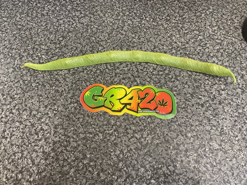 8C9151E5-72C2-42C1-A719-7E9EC9EE5C34