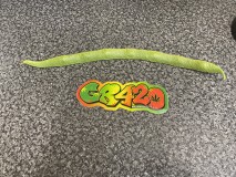 8C9151E5-72C2-42C1-A719-7E9EC9EE5C34