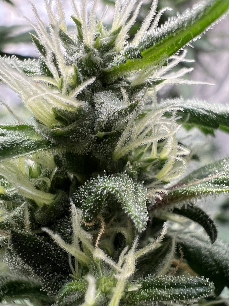 EDC20732-2C06-42C1-B13C-BC248F06FF04