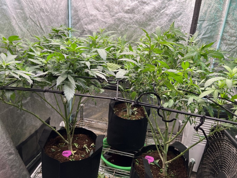 7E044EE5-7559-47AF-A6C6-E842E59DA3CE