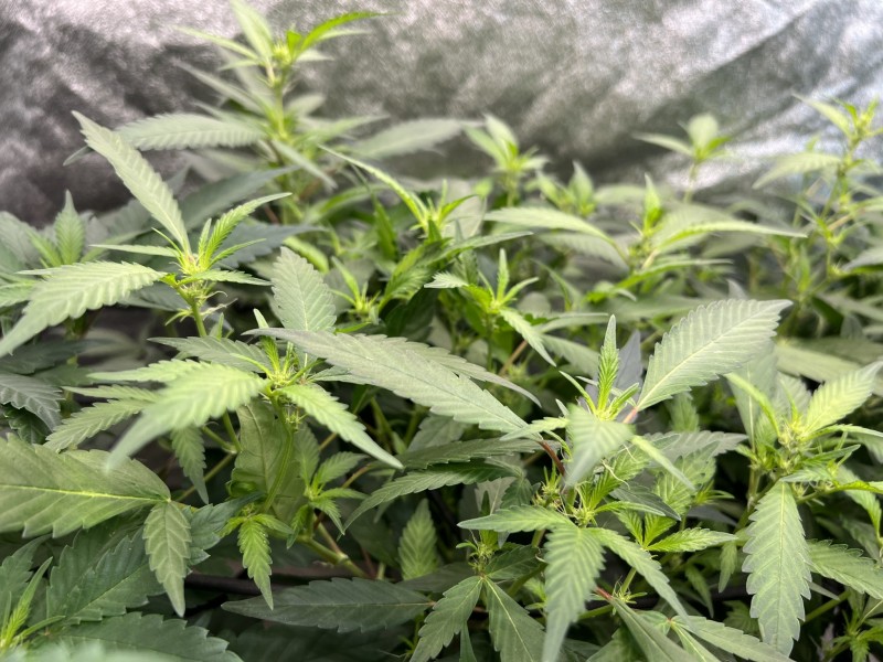 9277768F-98E0-44EA-A9A7-D603C356C04C