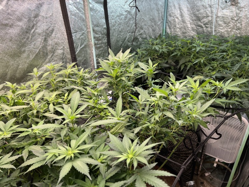 108A7806-FF00-4997-B148-1A48E403FA5B