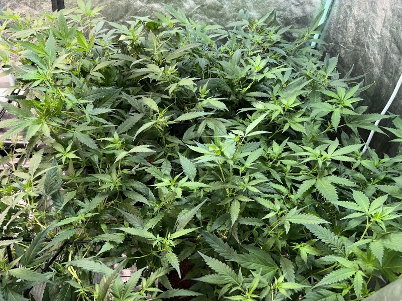 F2AB3BC8-BA84-4B87-8BB8-54030539E095