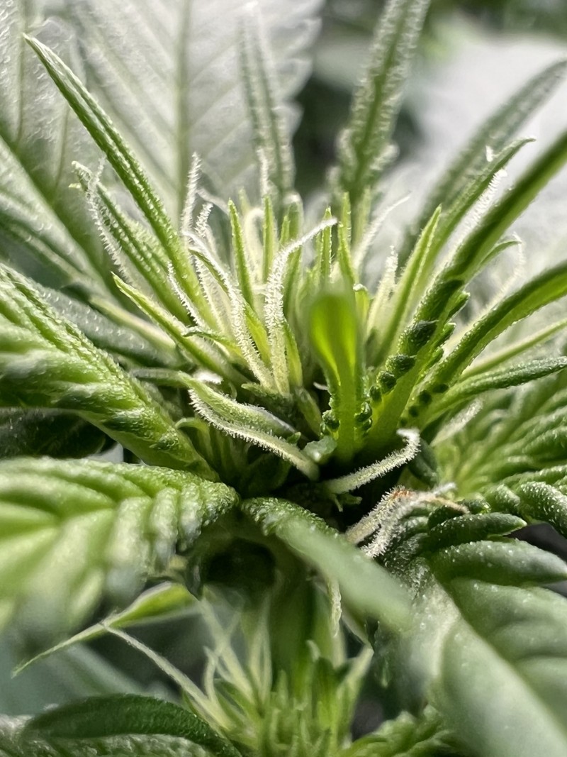 BBC5C1DF-9568-4CAC-B633-A4C078426E56