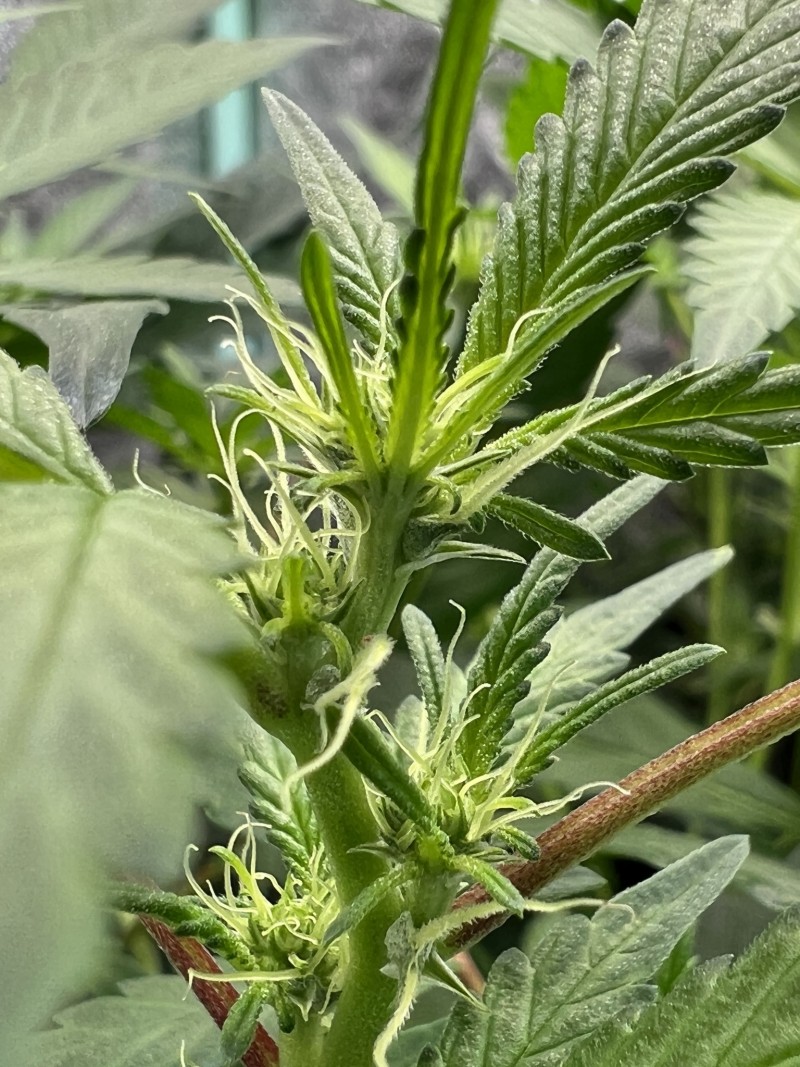 F3F2D004-72AD-4729-8B46-B4E84C0469BC