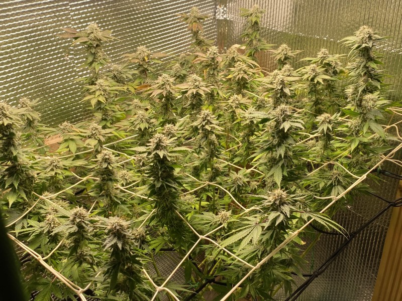 41129584-E994-4EE9-9E07-81167CEF1380