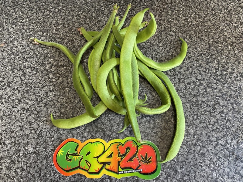 569AC7EC-814F-4C72-8B78-3E13D4178FC6