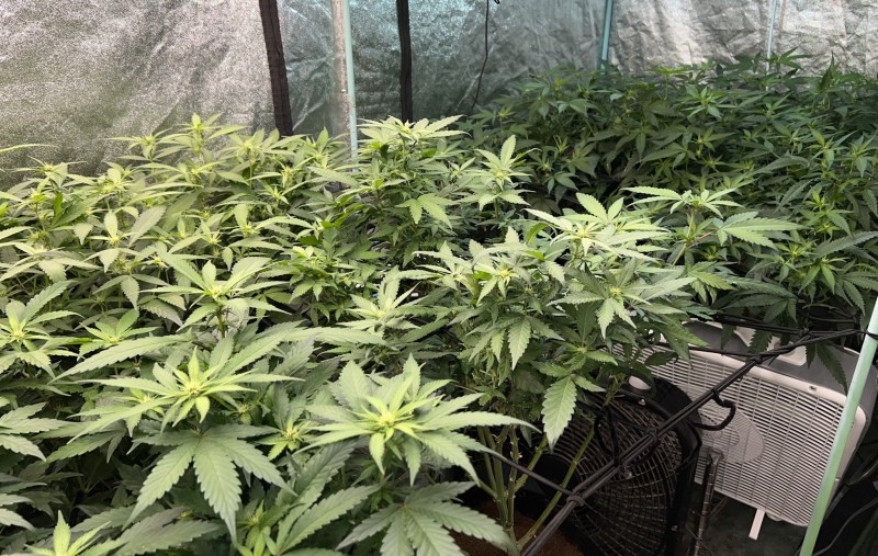 77E49315-7EAC-4894-89EC-EFCC823CBF9E