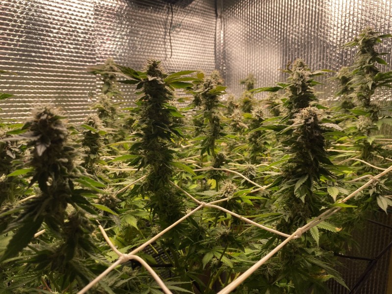 EC2534D0-FF45-4530-BC1D-E8CE354CC148