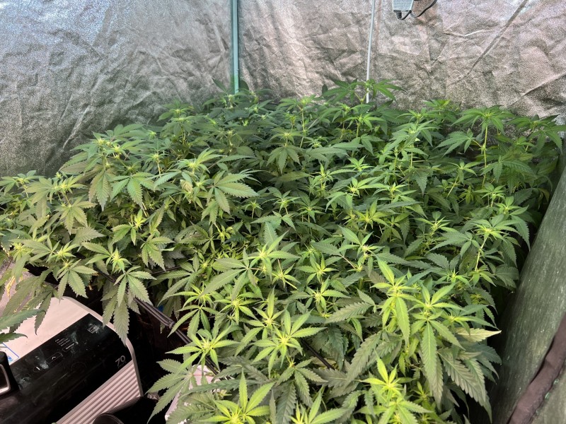 3C907F2F-A663-44C6-B221-7145BC65C031