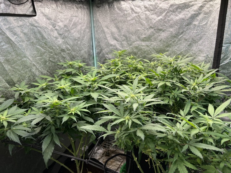 E1B2E246-59E7-45DF-92CB-4295ED3DA1E7