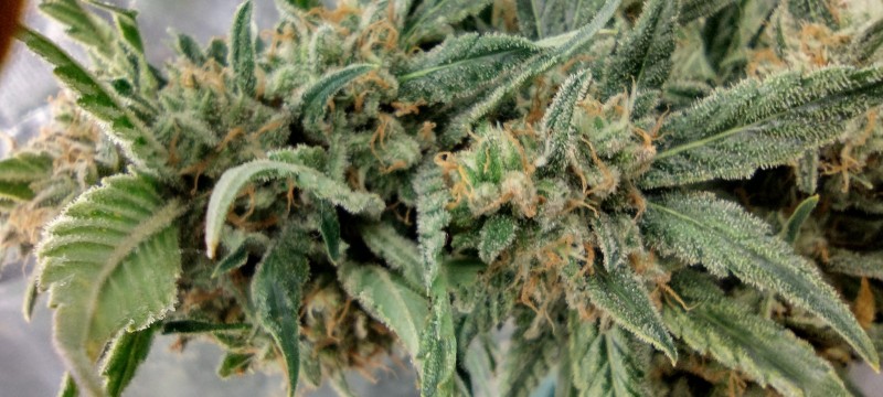 IMG_20220826_112140739_HDR