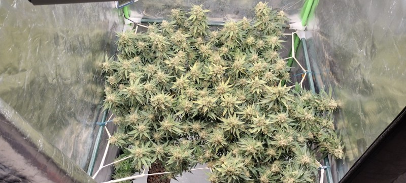 IMG_20220826_111823254_HDR