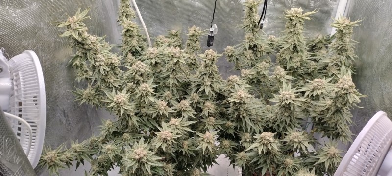 IMG_20220829_102455495_HDR