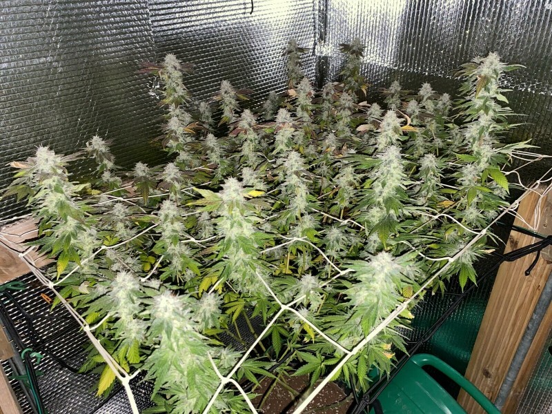 9185D02D-8468-46F7-A43B-A56848F2CD03