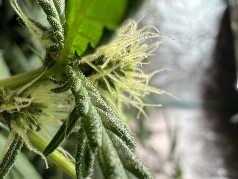 CD204DFC-F7AC-456B-8585-657473B2373A