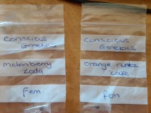 20220830_111426 - Copy