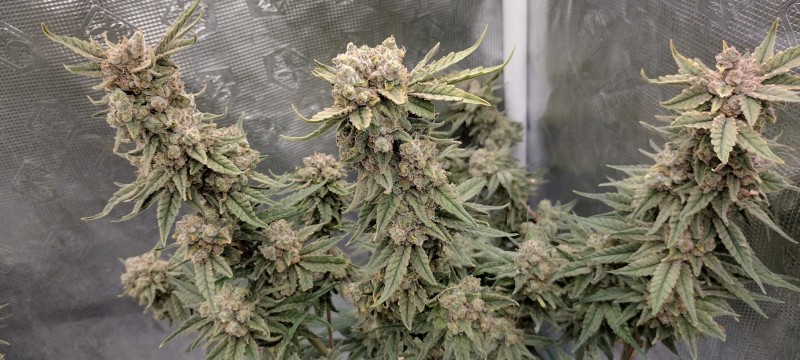 IMG_20220831_105653542_HDR