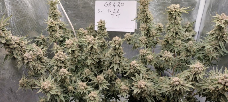 IMG_20220831_105150958_HDR