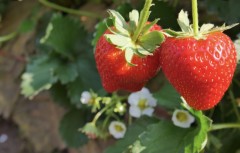 322AF043-B9F8-4ADE-8408-472A17222545